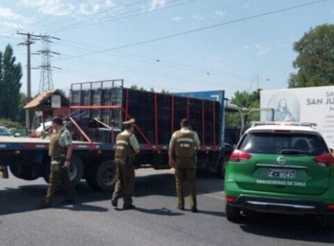 Carabineros
