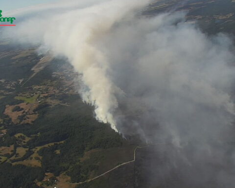 Incendio forestal
