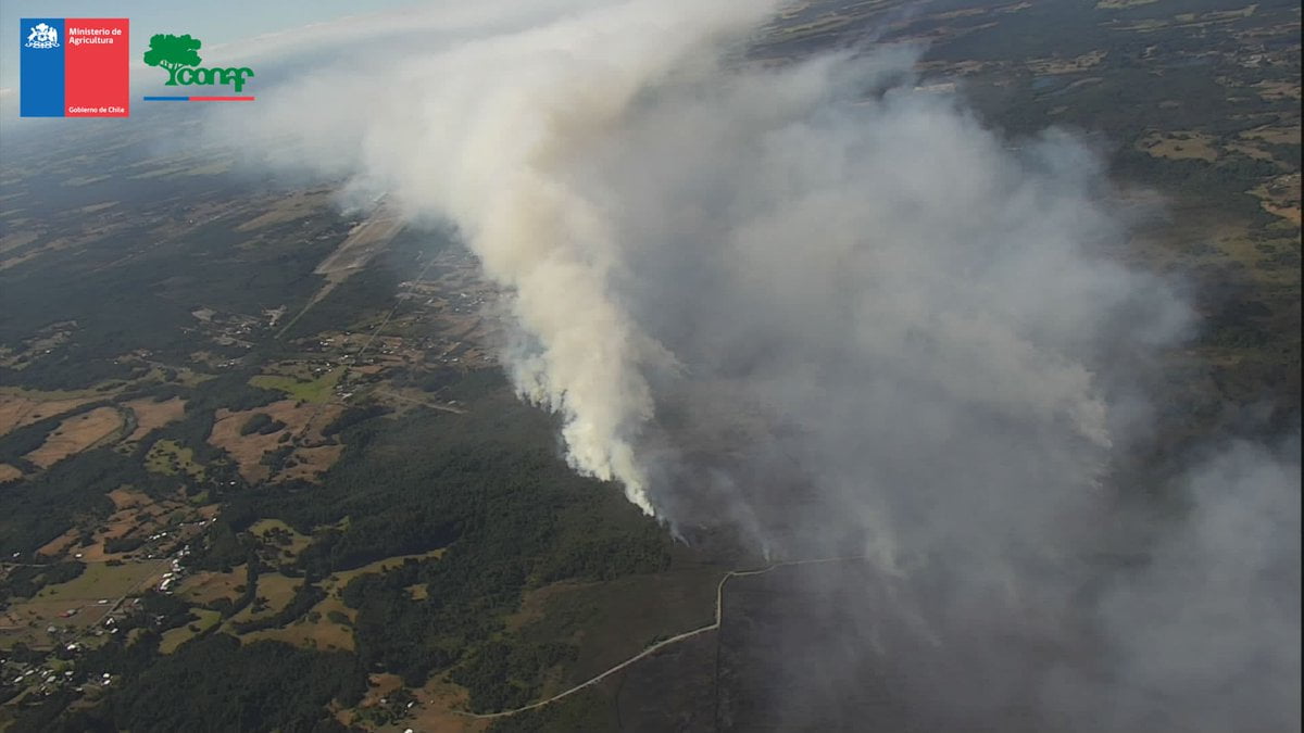 Incendio forestal