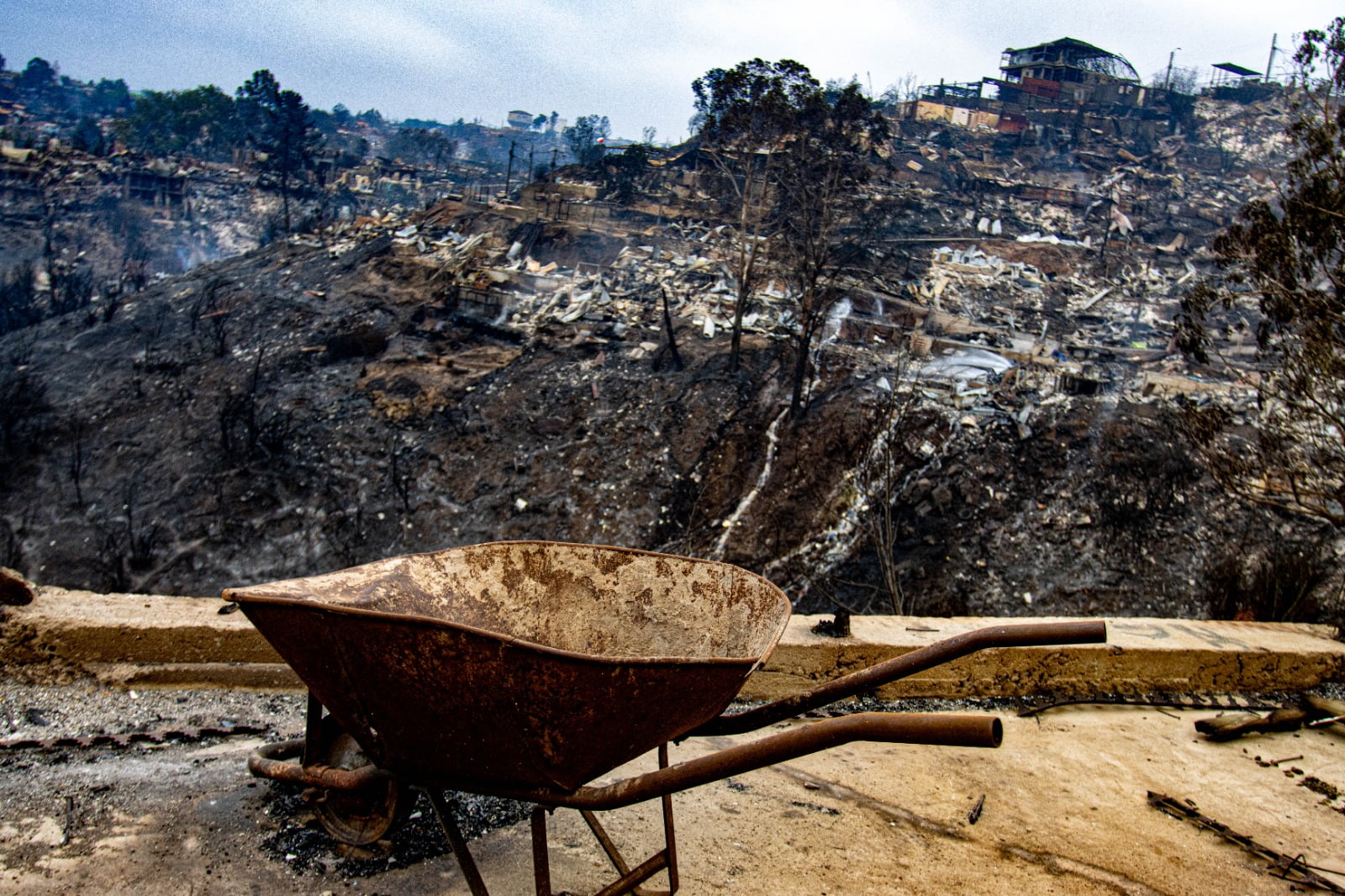 Incendios En Vina Del Mar The Times