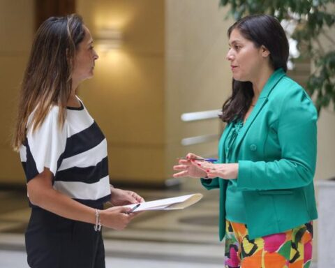 31 diputadas medina y morales piden al gobierno acciones urgentes para enfrentar violencia contra la mujer